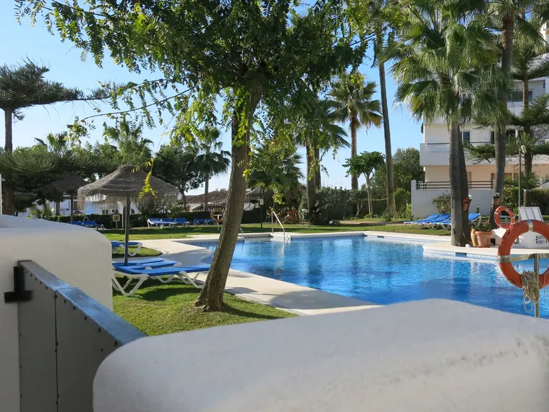 Pool with palm trees
